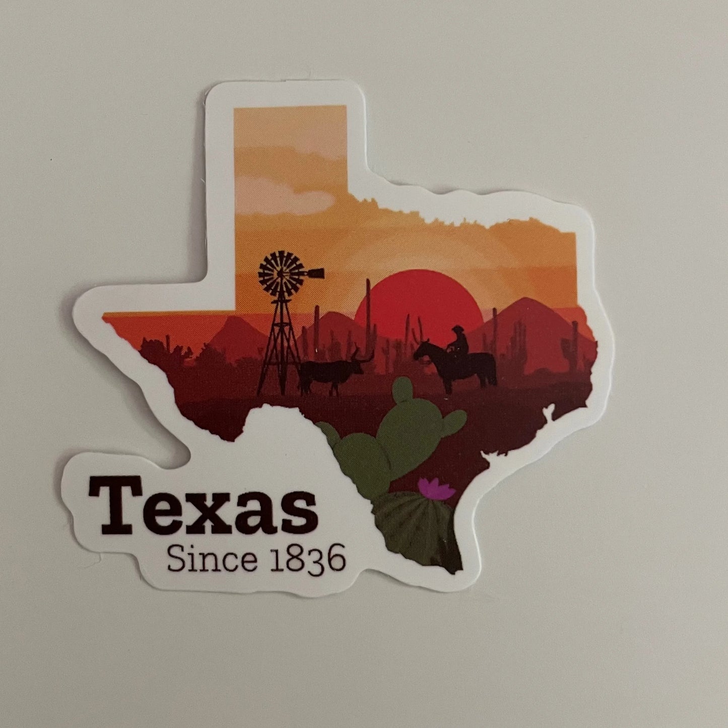 Texas State Sticker